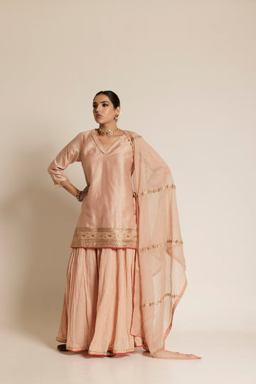Pale Pink Aari Gota-Patti Chanderi Garara Set