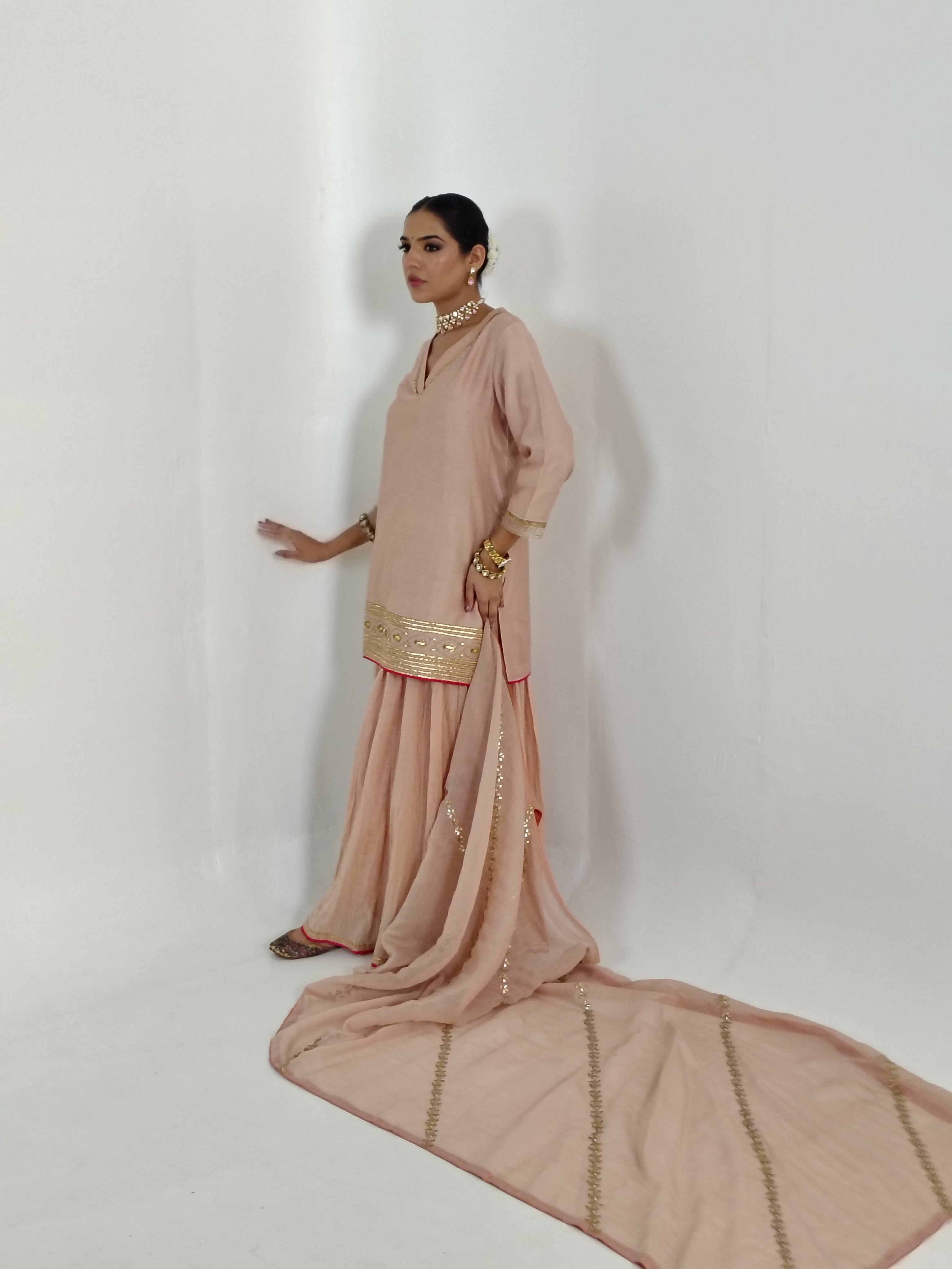 Pale Pink Aari Gota-Patti Sharara Set