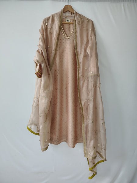Beige Gota Patti Hand Embroidered Suit with Dupatta